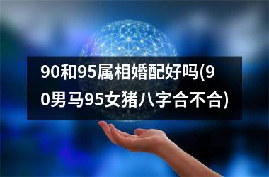 <h3>90和95属相婚配好吗(90男马95女猪八字合不合)
