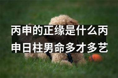 <h3>丙申的正缘是什么丙申日柱男命多才多艺