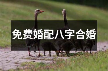 免费婚配八字合婚