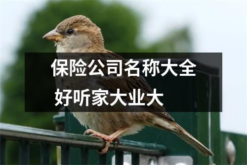 <h3>保险公司名称大全好听家大业大