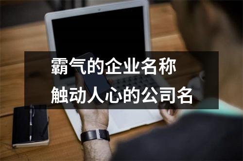 <h3>霸气的企业名称触动人心的公司名