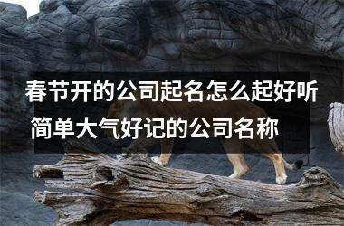 <h3>春节开的公司起名怎么起好听 简单大气好记的公司名称