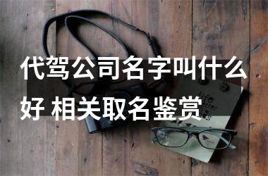 <h3>代驾公司名字叫什么好 相关取名鉴赏