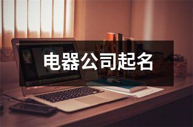 <h3>电器公司起名