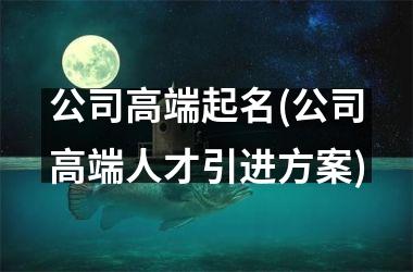 <h3>公司高端起名(公司高端人才引进方案)