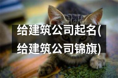 给建筑公司起名(给建筑公司锦旗)