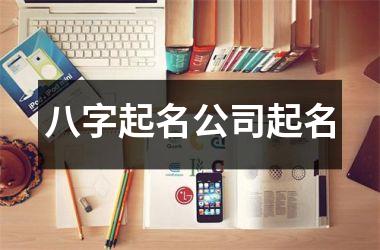 <h3>八字起名公司起名