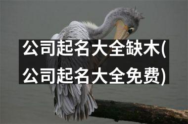 <h3>公司起名大全缺木(公司起名大全免费)