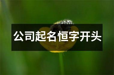 <h3>公司起名恒字开头