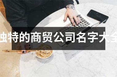 <h3>独特的商贸公司名字大全