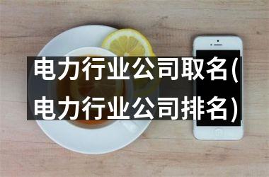<h3>电力行业公司取名(电力行业公司排名)