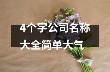 <h3>4个字公司名称大全简单大气