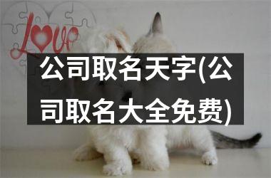 <h3>公司取名天字(公司取名大全免费)