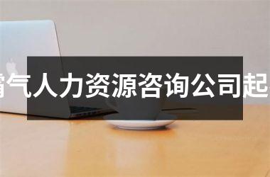 <h3>霸气人力资源咨询公司起名