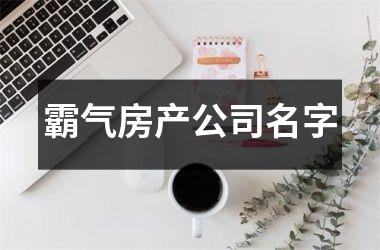 <h3>霸气房产公司名字