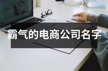 <h3>霸气的电商公司名字