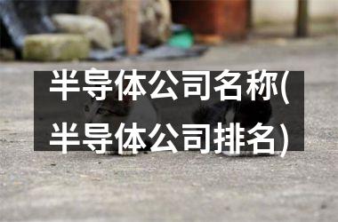 <h3>半导体公司名称(半导体公司排名)