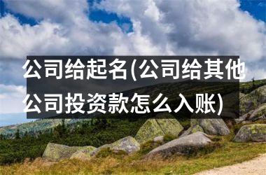公司给起名(公司给其他公司投资款怎么入账)