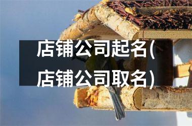<h3>店铺公司起名(店铺公司取名)