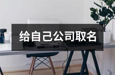 <h3>给自己公司取名