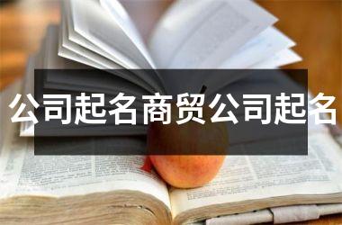 <h3>公司起名商贸公司起名