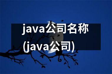 <h3>java公司名称(java公司)
