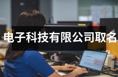<h3>电子科技有限公司取名