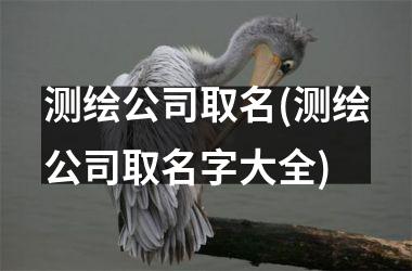 <h3>测绘公司取名(测绘公司取名字大全)
