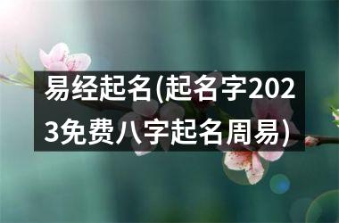 <h3>易经起名(起名字2025免费八字起名周易)