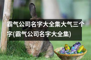 <h3>霸气公司名字大全集大气三个字(霸气公司名字大全集)