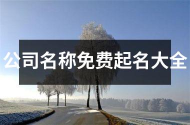 <h3>公司名称免费起名大全
