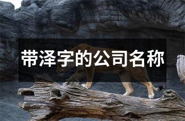 <h3>带泽字的公司名称