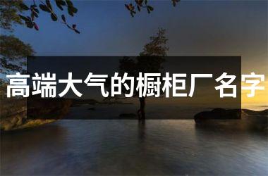 <h3>高端大气的橱柜厂名字