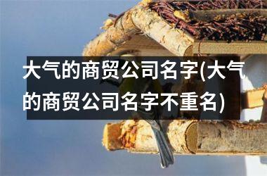大气的商贸公司名字(大气的商贸公司名字不重名)