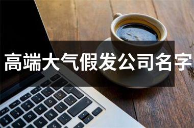<h3>高端大气假发公司名字