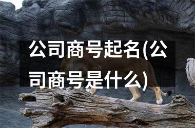 <h3>公司商号起名(公司商号是什么)