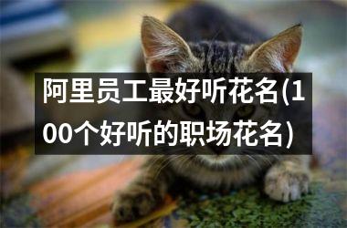 阿里员工最好听花名(100个好听的职场花名)
