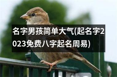 名字男孩简单大气(起名字2025免费八字起名周易)