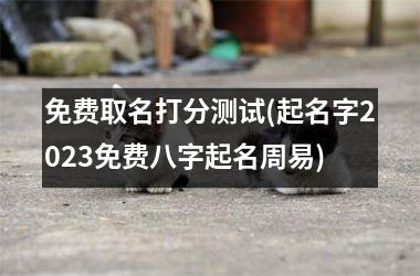免费取名打分测试(起名字2025免费八字起名周易)