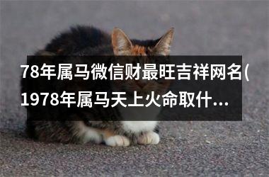 <h3>78年属马微信财最旺吉祥网名(1978年属马天上火命取什么名字)