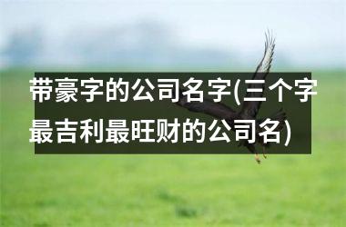 带豪字的公司名字(三个字最吉利最旺财的公司名)
