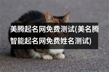 美腾起名网免费测试(美名腾智能起名网免费姓名测试)