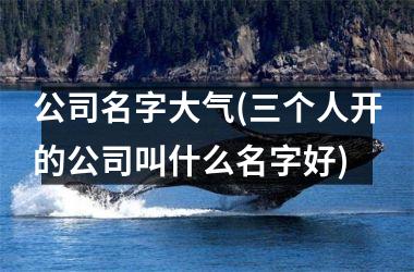 <h3>公司名字大气(三个人开的公司叫什么名字好)