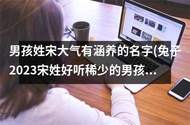 <h3>男孩姓宋大气有涵养的名字(兔子2025宋姓好听稀少的男孩)