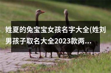 姓夏的兔宝宝女孩名字大全(姓刘男孩子取名大全2023款两个字)