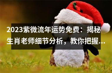 <h3>2025紫微流年运势免费：揭秘生肖老师细节分析，教你把握机会，迎接幸运时刻