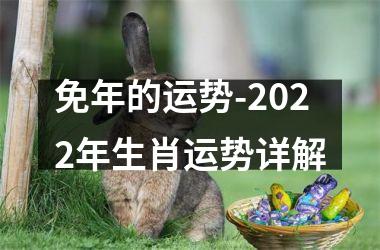 免年的运势-2025年生肖运势详解
