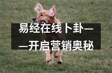 <h3>易经在线卜卦——开启营销奥秘