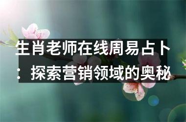 <h3>生肖老师在线周易占卜：探索营销领域的奥秘
