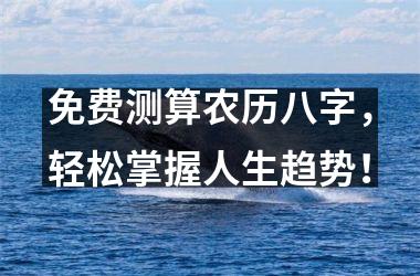<h3>免费测算农历八字，轻松掌握人生趋势！